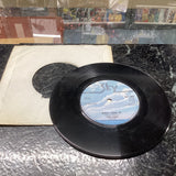 Tina King You're My Honey 7" vinyl UK Sky 1976 B/w when i grow up SKY1000