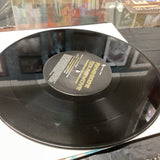 Renegade Soundwav - Used Vinyl Record 10 - P1177z2