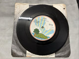 The Sutherland Bros. Band Sailing 7" Vinyl Single Record 1972 Island Records0