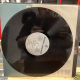 Del Amitri - Waking Hours - 12" Vinyl Record LP Album 1990 - AMA 90063