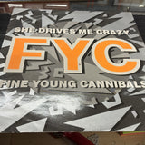 FYC Fine Young Canibals - She drives me crazy - 12" Maxi Vinyl0