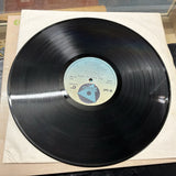 The Amazing Darts - Darts - 70s 70er - Album Vinyl LP3