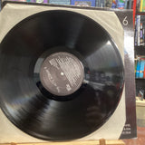 Various - The Hits Album 6 (VINYL)6