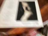 44602379