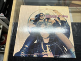 Sultans Of Ping* - Teenage Punks, 12", (Vinyl)0