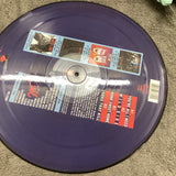 MOTLEY CRUE You’re All I Need 12” Vinyl Picture Disc With 19871