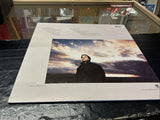 Spark to a Flame - Chris de Burgh Vinyl LP 1989 (A & M CDBLP100)1