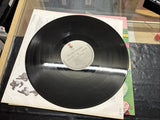 They Might Be Giants – They Might Be Giants 1986 Bar/None 33 RPM Black Vinyl LP2