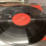 Indian Vibes Mathar 12” Vinyl Promo Remixes 19982