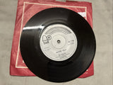 The Piglets 45 RPM Johnny Reggae / Backing Track UK Release 19711
