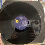 Stevie Salas Colorco - Used Vinyl Record - Z6806z2