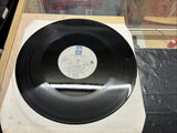 Sultans Of Ping* - Teenage Punks, 12", (Vinyl)3