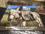 45014971