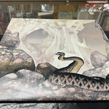 Yes Relayer Vinyl LP Record Roger Dean Cover Porky Pecko Prog Rock Atlantic1
