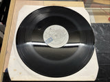 Sultans Of Ping* - Teenage Punks, 12", (Vinyl)2
