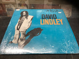 David Lindley El Rayo X Vinyl Record AS 52283 1981