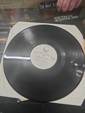 Simon & Garfunkel – The Concert In Central Park - Doppio LP 6