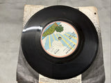 The Sutherland Bros. Band Sailing 7" Vinyl Single Record 1972 Island Records1