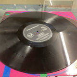 Caron Wheeler  UK Blak  Used Vinyl Record 12  77  Z7294z2