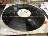 Zo - Sunshine On A Rainy Day - Used Vinyl Record 12 - G5628z3