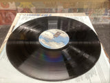 Andrew Gold What's Wrong With This Picture? Vinyl Record Lonely Boy