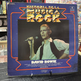 DAVID BOWIE Album "HISTORIA de la MUSICA ROCK" LP vinyl 12" SPAIN 19810