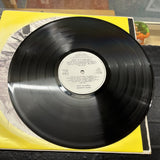 Mick Jagger-Primitive cool.lp2