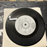 Kings Of Feedback Fuck Amerika 1993 noise punk 7" 45 rpm immortal vinyl single2