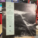 THE WATERBOYS ~ THE WATERBOYS ** 1983 UK CHICKEN JAZZ LP1