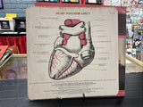 THE STRANGLERS - LA FOLIE LP LBG 30342 LIBERTY 19812