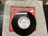 The Piglets 45 RPM Johnny Reggae / Backing Track UK Release 19710