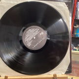 Various - The Hits Album 6 (VINYL)3