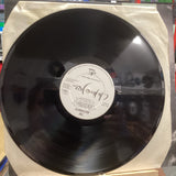 THE WATERBOYS ~ THE WATERBOYS ** 1983 UK CHICKEN JAZZ LP3