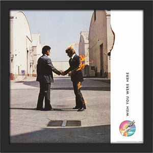 Pink Floyd (Wish You Were Here) Album Cover