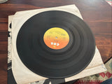 Bruce Springsteen Born to run lp