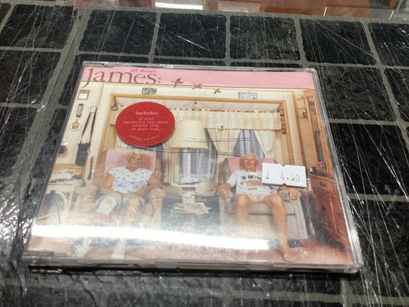 James Sit Down Apollo 440 remix cd single