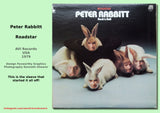 New Calendar for 27 The Worst Record covers in the world calendar 2027