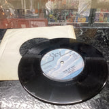 Tina King You're My Honey 7" vinyl UK Sky 1976 B/w when i grow up SKY1000